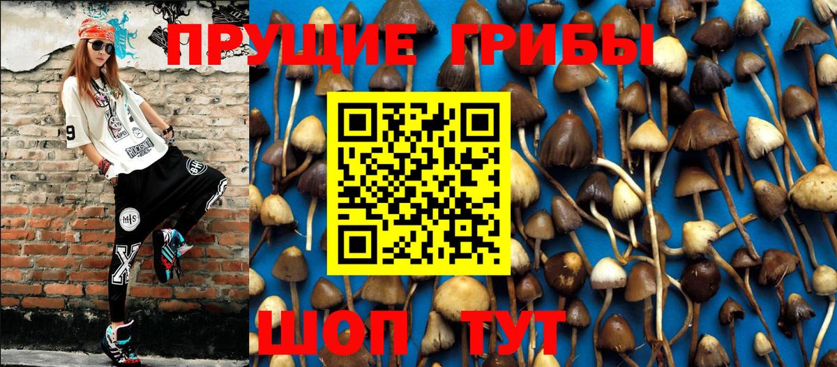Псилоцибиновые грибы Cubensis Джанкой