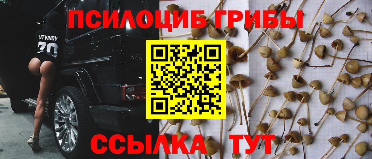 Галлюциногенные грибы Magic Shrooms  Галлюциногенные грибы мицелий  цены наркотик  Джанкой  Вход с VPN 